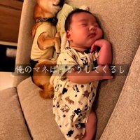 寝相が同じふたり