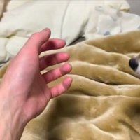 手