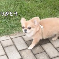 男の子をチラ見♪