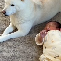 カナちゃんと赤ちゃん