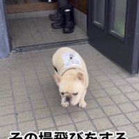 その場でピョン！