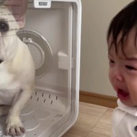 自分の無力さに思わず号泣