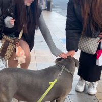 褒められちゃった！