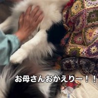 マリちゃんの熱烈歓迎7