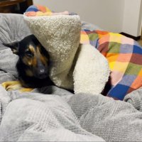 まさかの掛け布団として使用！？