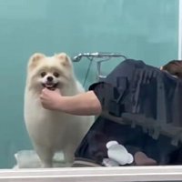 にこ〜っと笑顔