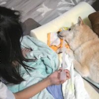 最後まで看病を続けた