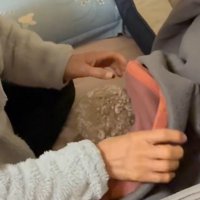 寝る前の茶々丸くんとおばあちゃん