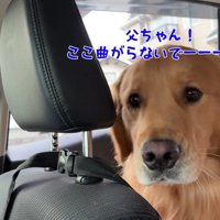 絶望したようなお顔に