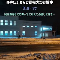 お手伝いさんとわんこを探したら…