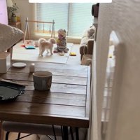 おもちゃで遊ぶワンコと赤ちゃん