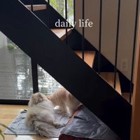 てんちゃんとも仲良し