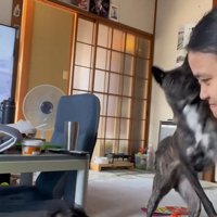 両足で止める犬
