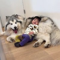 投稿主さんの存在に気付いた