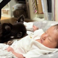 仲良しで可愛い♡