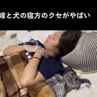 並んで眠る犬と人
