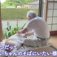 お世話をするおじいちゃん