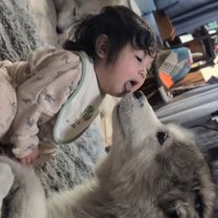 赤ちゃんに顔を近づけるオスの犬