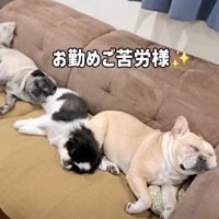 大仕事の後の休息です