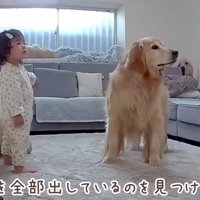 おからちゃんが寄り添います