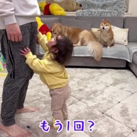 「たかいたかい」にハマリ中♪