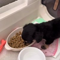 こんなに余裕があったのに…