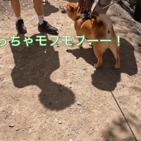 毛並みを大絶賛！