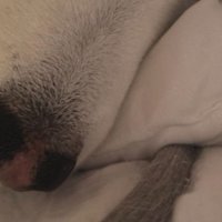 目を覚まして、横を見たら…