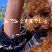 出ちゃんを抱っこしていたら…