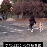 このまま車に乗ろう！！