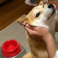 とっても嬉しそう♡