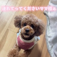 「わたしも連れてって！」