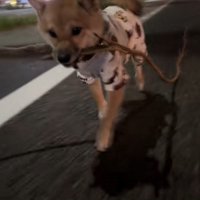 満足そうな姿が可愛い♡