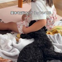いつでも一緒のふたり