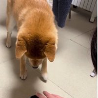 「居合勝負」が好き