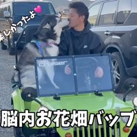 男性の口を舐めるハスキー犬