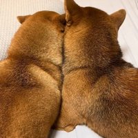 仲良く寄り添う姉弟