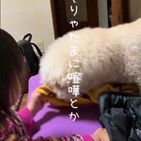 喧嘩をすることも