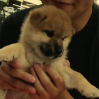 5万円で売れ残っていた…