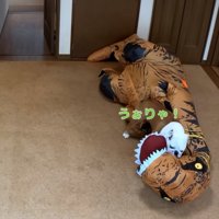 攻撃するブルドッグ