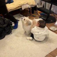 ぽんちゃんのSP小太郎くん