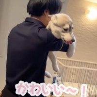 大満足のららちゃん