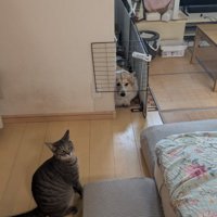 挟まる