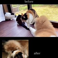 アフターのほっこり感…