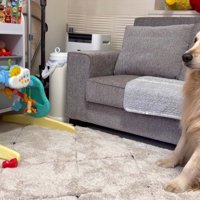 おもちゃ箱をガサコソ