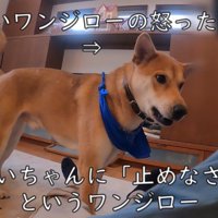 怒った顔で教育的指導