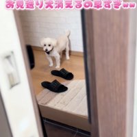 「行ってらっしゃいー」