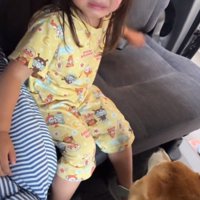 車に乗っていたリブくん