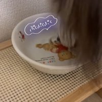 ぷくぷく遊びにハマったさつまくん