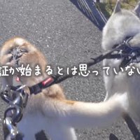 しっかりと変装